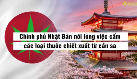 Chính phủ Nhật Bản nới lỏng việc cấm các loại thuốc chiết xuất từ ​​cần sa