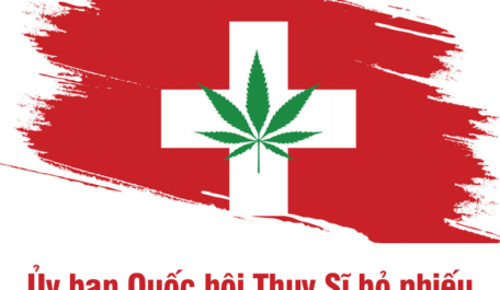 Ủy ban Quốc hội Thụy Sĩ bỏ phiếu để hợp pháp hóa cần sa