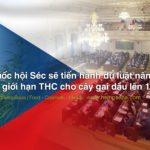 Quốc hội Séc sẽ tiến hành dự luật nâng mức giới hạn THC cho cây gai dầu lên 1,0%