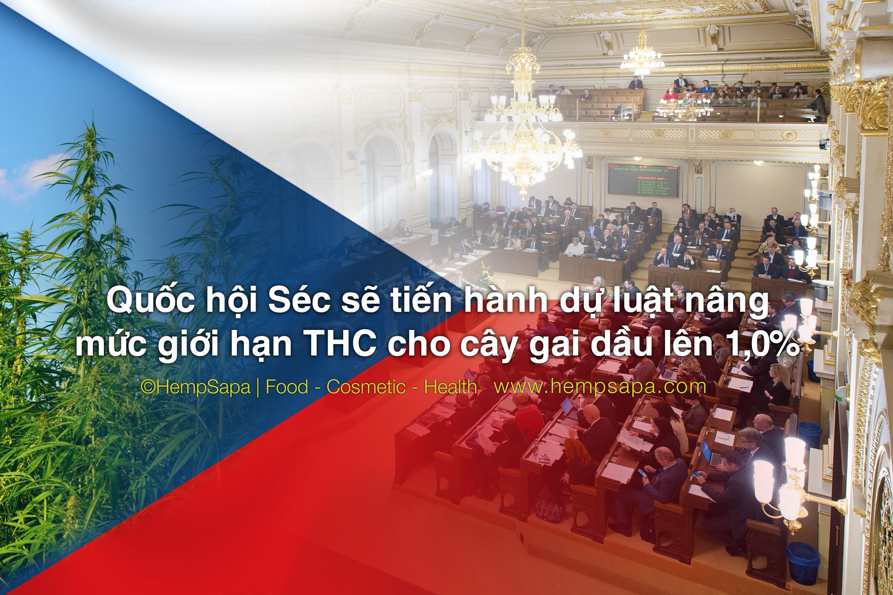 Quốc hội Séc sẽ tiến hành dự luật nâng mức giới hạn THC cho cây gai dầu lên 10