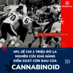NFL SẼ CHI 1 TRIỆU ĐÔ LA NGHIÊN CỨU KHẢ NĂNG KIỂM SOÁT CƠN ĐAU CỦA CANNABINOID