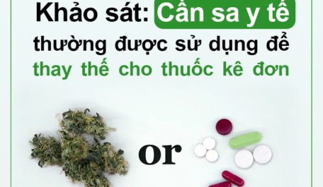 khao-sat-can-sa-y-te-thuong-duoc-su-dung-de-thay-the-cho-thuoc-ke-don