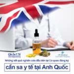 Những kết quả nghiên cứu đầu tiên tại Cơ quan đăng ký cần sa y tế tại Anh Quốc
