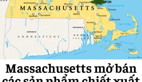 Massachusetts mở bán các sản phẩm chiết xuất từ ​​cây gai dầu 