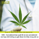 CBG - Cannabinoid bao quát tất cả các cannabinoid: các hợp chất chống co giật được tìm thấy trong cần sa