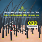Những kết quả đầy hứa hẹn của CBD như một liệu pháp điều trị rụng tóc