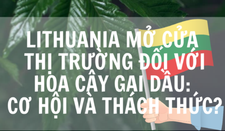 lithuania-mo-cua-thi-truong-doi-voi-hoa-cay-gai-dau-co-hoi-va-thach-thuc