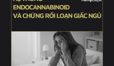 he-thong-endocannabinoid-va-chung-roi-loan-giac-ngu-2