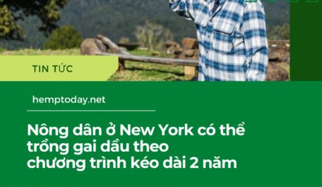 nong-dan-o-new-york-co-the-trong-gai-dau-theo-chuong-trinh-keo-dai-2-nam