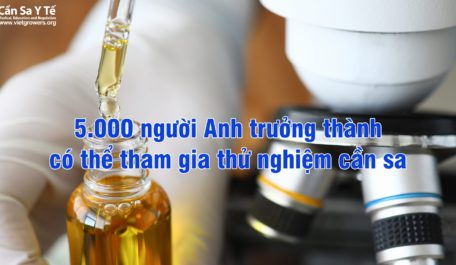 5000-nguoi-anh-truong-thanh-co-the-tham-gia-thu-nghiem-can-sa