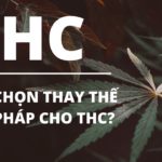 HHC là gì? Lựa chọn thay thế hợp pháp cho THC?