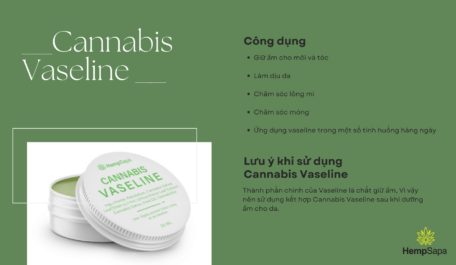 cannabis-vaseline