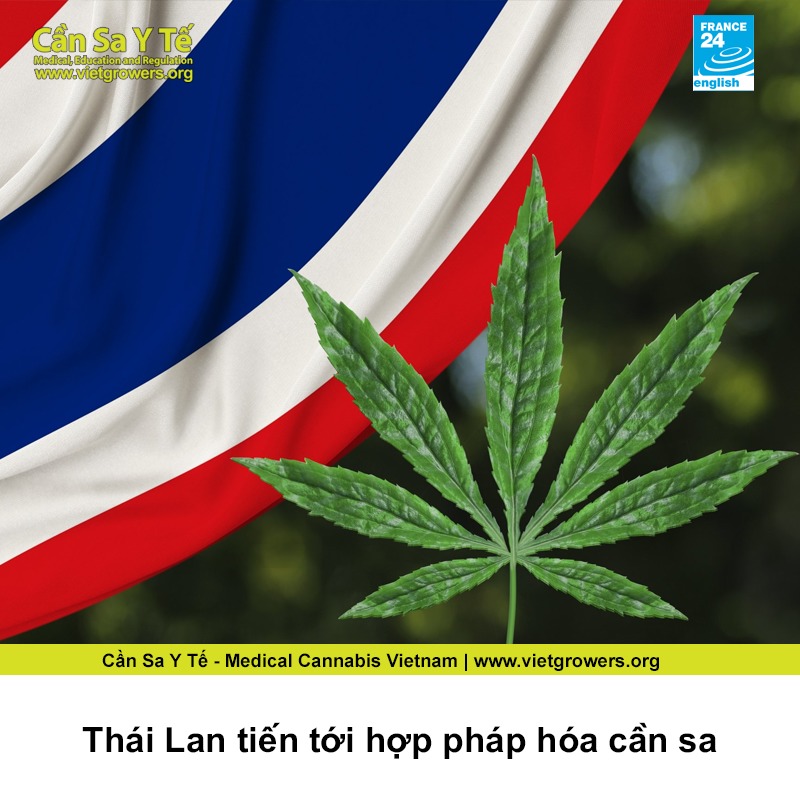 Thai Lan tien toi hop phap hoa can sa