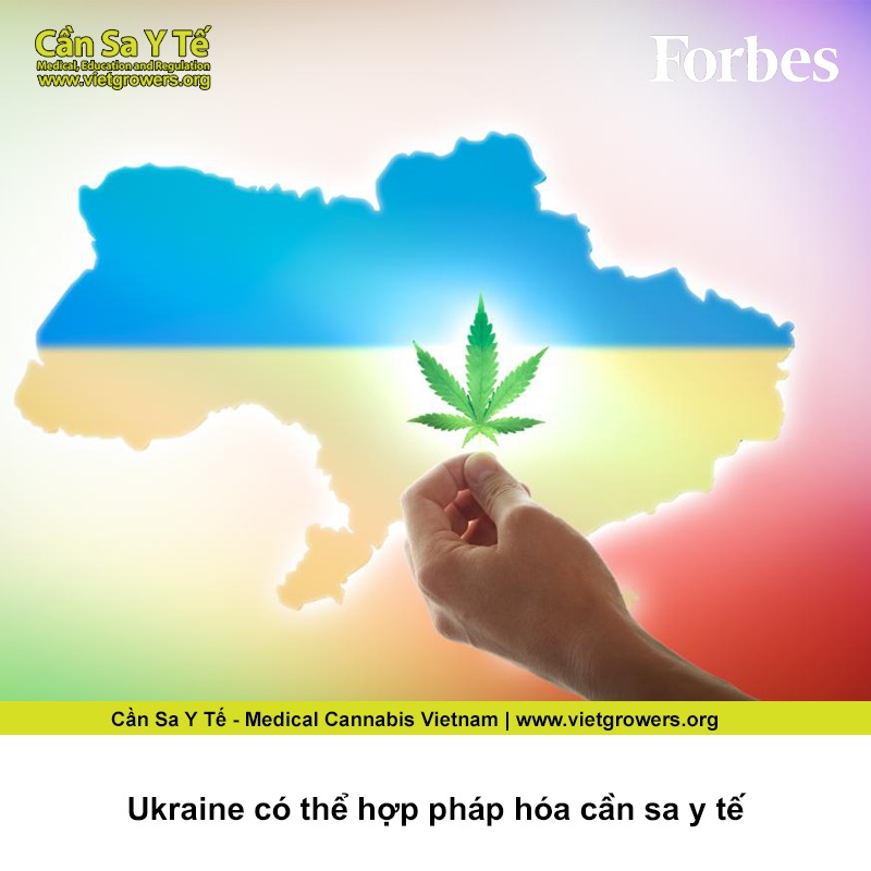 Ukraine co the hop phap hoa can sa y te