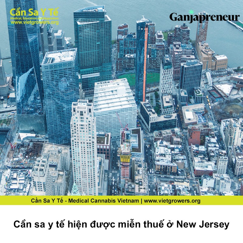 Can sa y te hien duoc mien thue o New Jersey
