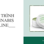 hanh-trinh-cannabis-vaseline