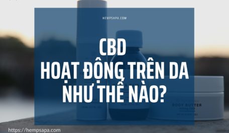 cbd-hoat-dong-tren-da-nhu-the-nao