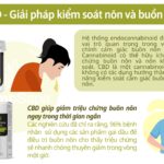cbd-giai-phap-kiem-soat-non-va-buon-non