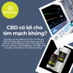 cbd-co-loi-cho-tim-mach-khong