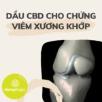 dau-cbd-cho-chung-viem-xuong-khop