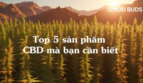 Top 5 san pham CBD ma ban can biet